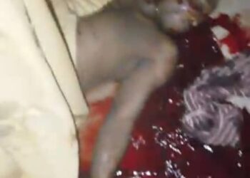 Gunmen Kill Brother Of Kaduna Governor’s Aide