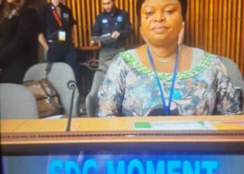 UNGA@ 80, SDGs; Nigeria’s Take Away