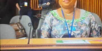 UNGA@ 80, SDGs; Nigeria’s Take Away