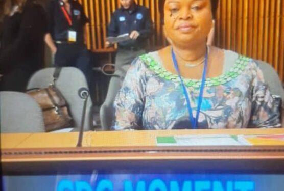 UNGA@ 80, SDGs; Nigeria’s Take Away