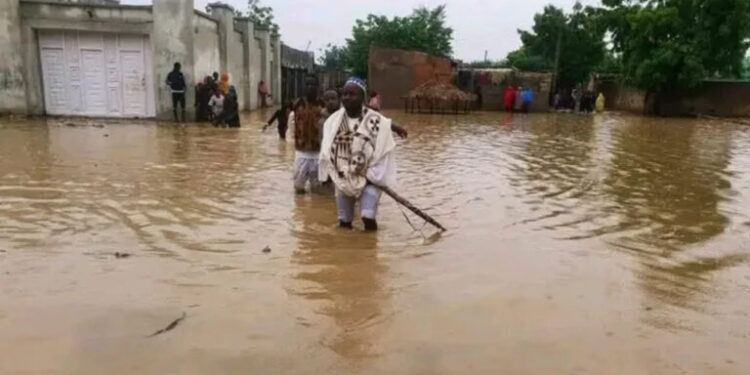 NEMA Reports 17,000 Displaced, 3 Dead in Kaduna, Katsina Floods