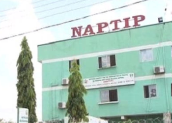 Human Trafficking: NAPTIP Hands Over 11 Male Victims to Jigawa LGA