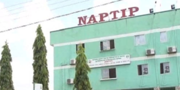 Human Trafficking: NAPTIP Hands Over 11 Male Victims to Jigawa LGA