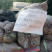 Customs Intercepts 3,453 Parcels of Cannabis in Ogun State