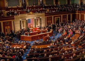 Insecurity: US Congress Moves To Restrict Sharia Law In Northern Nigeria