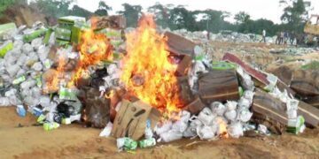 NAFDAC Destroys Substandard Goods Worth N5 Billion in Nasarawa