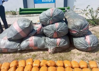 Truckload of Cannabis Intercepted in Lagos – Police