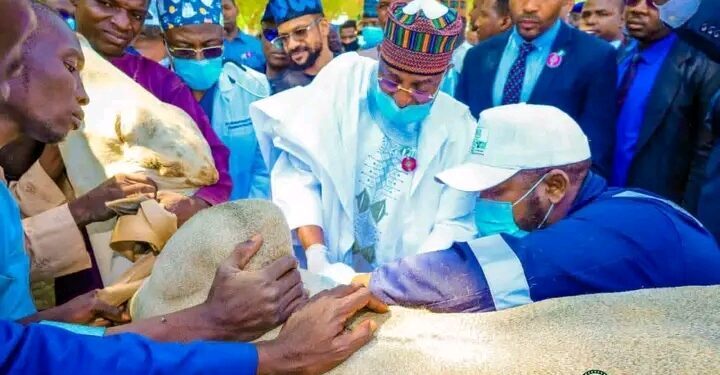 FG Inaugurates Artificial Insemination, Livestock Care Centres in Sokoto