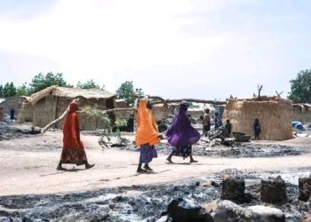 Fire Destroys Over 100 Thatched Houses in Monguno IDP Camp