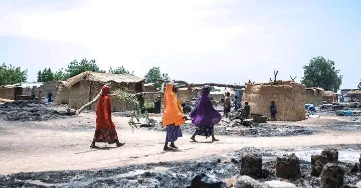 Fire Destroys Over 100 Thatched Houses in Monguno IDP Camp