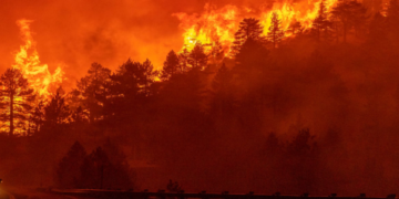 Niger Recorded 430 Fire Outbreaks in 2025 – Official