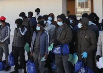 Canada Deports 366 Nigerians as 974 Face Removal