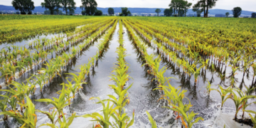 FG Urges Banks to Support Climate-smart Farming