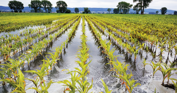 FG Urges Banks to Support Climate-smart Farming