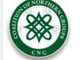 CNG fault Katsina over release of bandits for peace deals