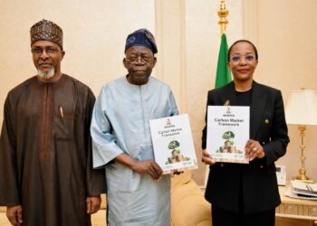 Tinubu Approves $3.8bn Investment in Carbon Market to Boost Sustainable Infrastructure
