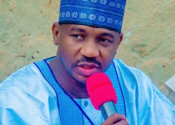 Nobody Will Love Nigeria More Than Nigerians – Sokoto Governor