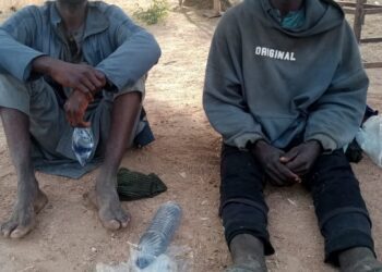 Over 70 Bandits Neutralised as Kaduna Communities Hail Military Onslaught, Govt