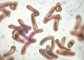 Cholera Deaths Surge 46% Globally in 2025 as Africa Bears Heaviest Burden