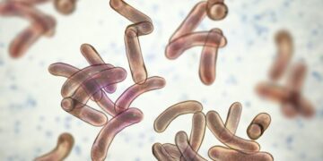 Cholera Deaths Surge 46% Globally in 2025 as Africa Bears Heaviest Burden