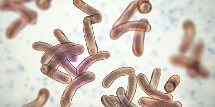 Cholera Deaths Surge 46% Globally in 2025 as Africa Bears Heaviest Burden