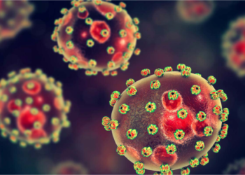 Youths Most Affected in 1,119 2025 Lassa Fever Cases – NCDC