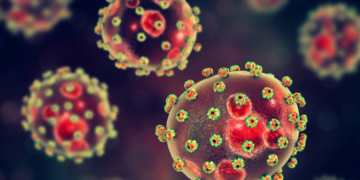 Youths Most Affected in 1,119 2025 Lassa Fever Cases – NCDC