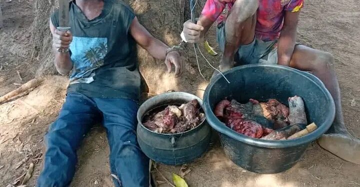 Operation Whirl Strike Nets Armed Bandit, Criminal Suspects