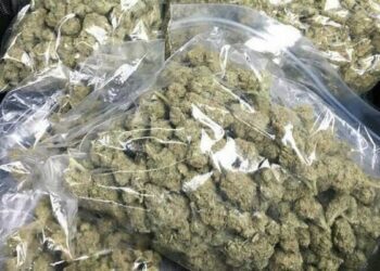 Navy Seizes Nearly Half a Tonne of Illicit Drugs in Lagos