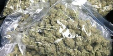 Navy Seizes Nearly Half a Tonne of Illicit Drugs in Lagos