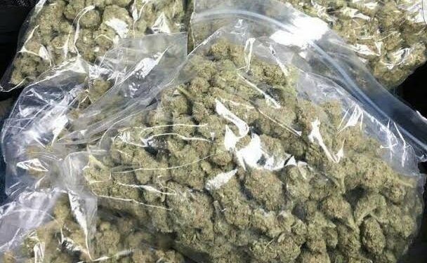 Navy Seizes Nearly Half a Tonne of Illicit Drugs in Lagos