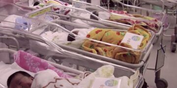 FG Moves to Strengthen Birth Registration, Gender Data