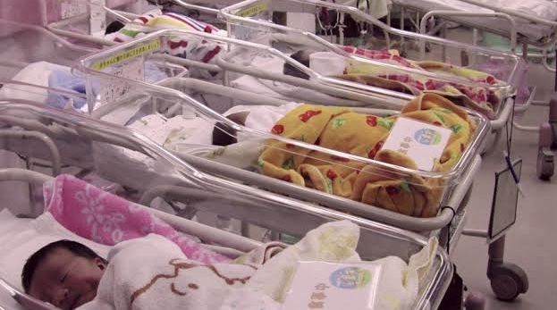 FG Moves to Strengthen Birth Registration, Gender Data