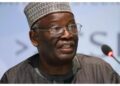 Buhari Remains the Same: Gambari Dismisses ‘Jubril of Sudan’ Rumours