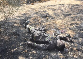 8 Div Army Neutralise Scores Of Bandits In Zamfara