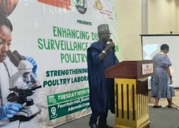 Nigeria Unveils Critical Push to Fortify Poultry, Safeguard Food Supply Amid Disease Threat