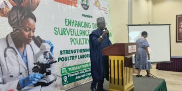 Nigeria Unveils Critical Push to Fortify Poultry, Safeguard Food Supply Amid Disease Threat