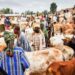 Kano to Revamp Livestock Trading, Modernize Meat Processing