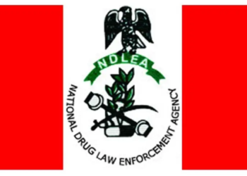 NDLEA’s Major Drug Bust: Over 9,900kg of Illicit Substances Seized Across Six States