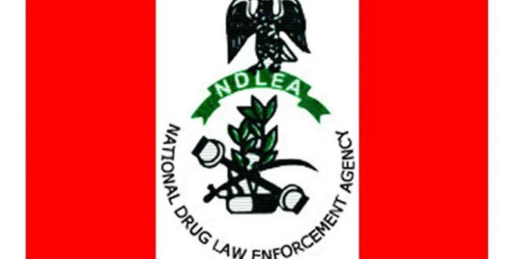 NDLEA’s Major Drug Bust: Over 9,900kg of Illicit Substances Seized Across Six States
