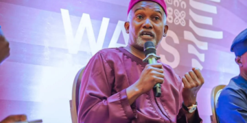 Nigeria Calls For Accountability, Audit Reforms Across AU Organs