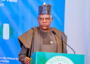 Shettima Convenes NEC Meeting to Tackle Economic Coordination