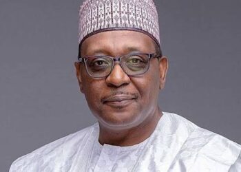 Minister Reveals Only N36 Million Released from N218 Billion Health Budget