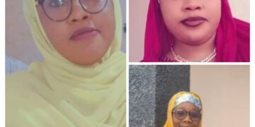 CSOs Ask NUJ, NAWOJ To Probe Tozali TV Boss’ Allegations