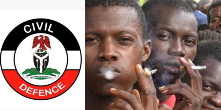 Jigawa NSCDC Links Rising Crime Wave to Widespread Drug Abuse