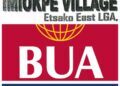 BUA Cement Posts N356bn Profit In 2025