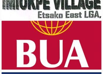 BUA Cement Posts N356bn Profit In 2025