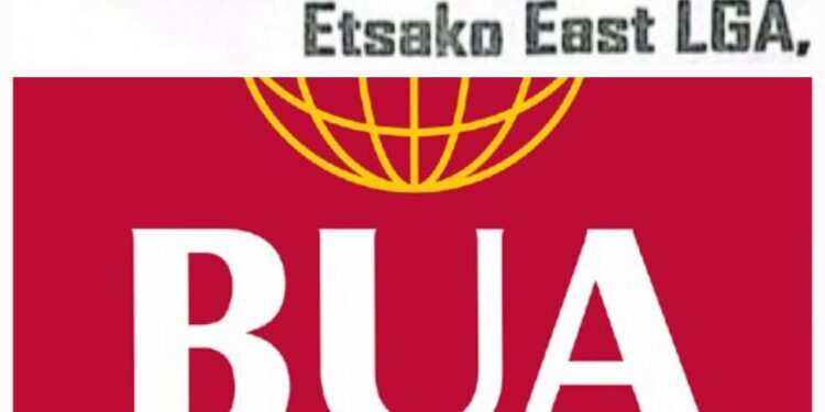 BUA Cement Posts N356bn Profit In 2025