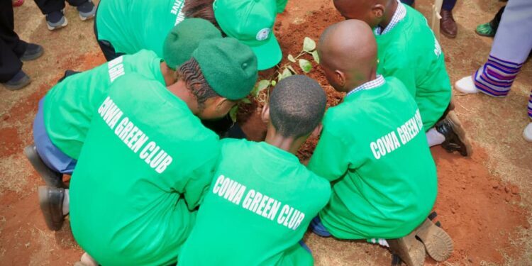 COWA Unveils Adopt-a-School Campaign to Nuture Young Nigerians