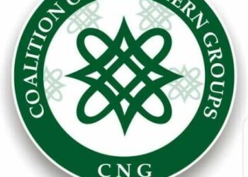 Insecurity: CNG warns against division, foreign influence